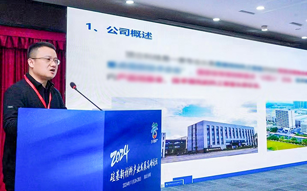 頂立科技參加硅基新材料高峰論壇，分享高純石英制備熱工裝備最新技術